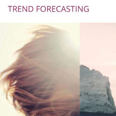 Trend forecasting